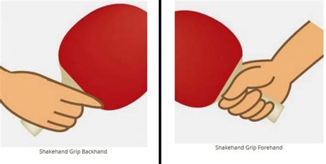 sebagian atlet asia menggunakan pemegangan bet|4 Teknik Memegang Bet dalam Tenis Meja yang Benar .